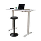 Zilia Standing Desk