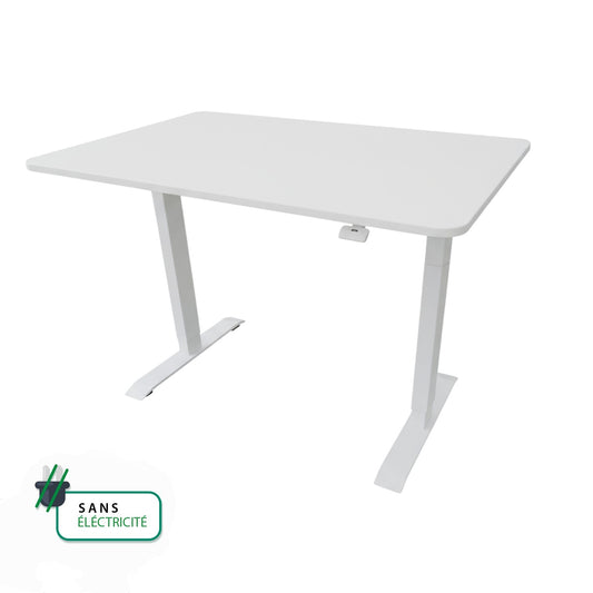 Zilia Standing Desk