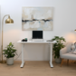 Zilia Standing Desk